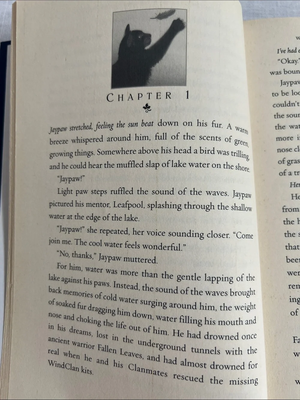 🌞 Power of Three: Warriors  Outcast by Erin Hunter (HarperCollins) Hardcover